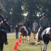 "Soldiers from the Warrior Transition Battalion make their morning rounds every Wednesday, as part of the therapeutic horse program led by certified therapists who help physically and psychologically wounded Soldiers. This ride helps coordinate their memory and coordination by maneuvering around numbered markers on the ground." ~ Source: United States Army ~ Author: Dave Campbell ~ Public Domain