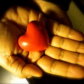"Compassionate hands: taking care of our heart" by Enver Rahmanov via Wikimedia Commons (CC)