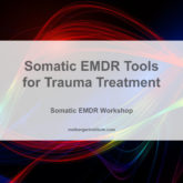 Somatic EMDR Tools for Trauma Treatment - Somatic EMDR Workshop - Maiberger Institute