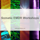 Somatic EMDR Workshops