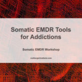 Somatic EMDR Tools for Addictions - Somatic EMDR Workshop