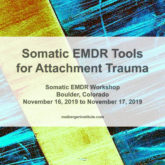Somatic EMDR Tools for Attachment Trauma - Somatic EMDR Workshop in Boulder, Colorado - November 16-17, 2019