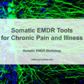 Somatic EMDR Tools for Chronic Pain and Illness - Somatic EMDR Workshop - Maiberger Institute