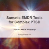 Somatic EMDR Tools for Complex PTSD - Somatic EMDR Workshop - Maiberger Institute