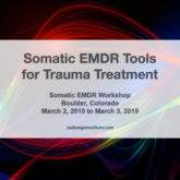 Somatic EMDR Tools for Trauma Treatment - Somatic EMDR Workshop in Boulder Colorado - March 2019