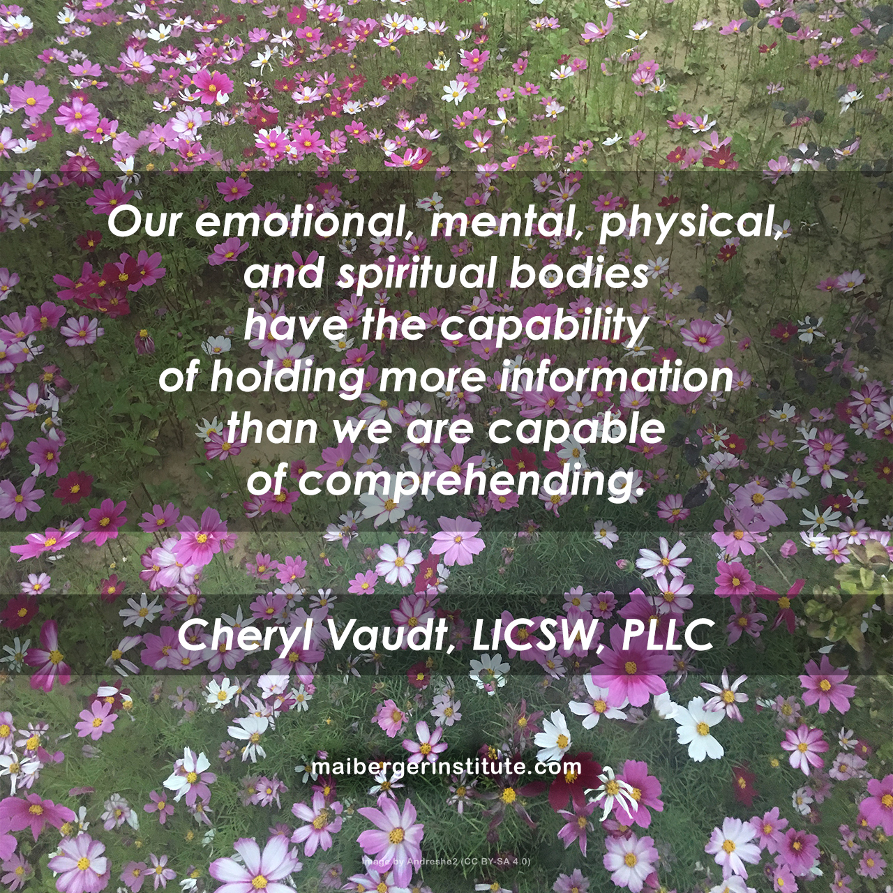 Our emotional, mental, physical, and spiritual bodies have the capability of holding more information than we are capable of comprehending. ~ Cheryl Vaudt, LICSW, PLCC