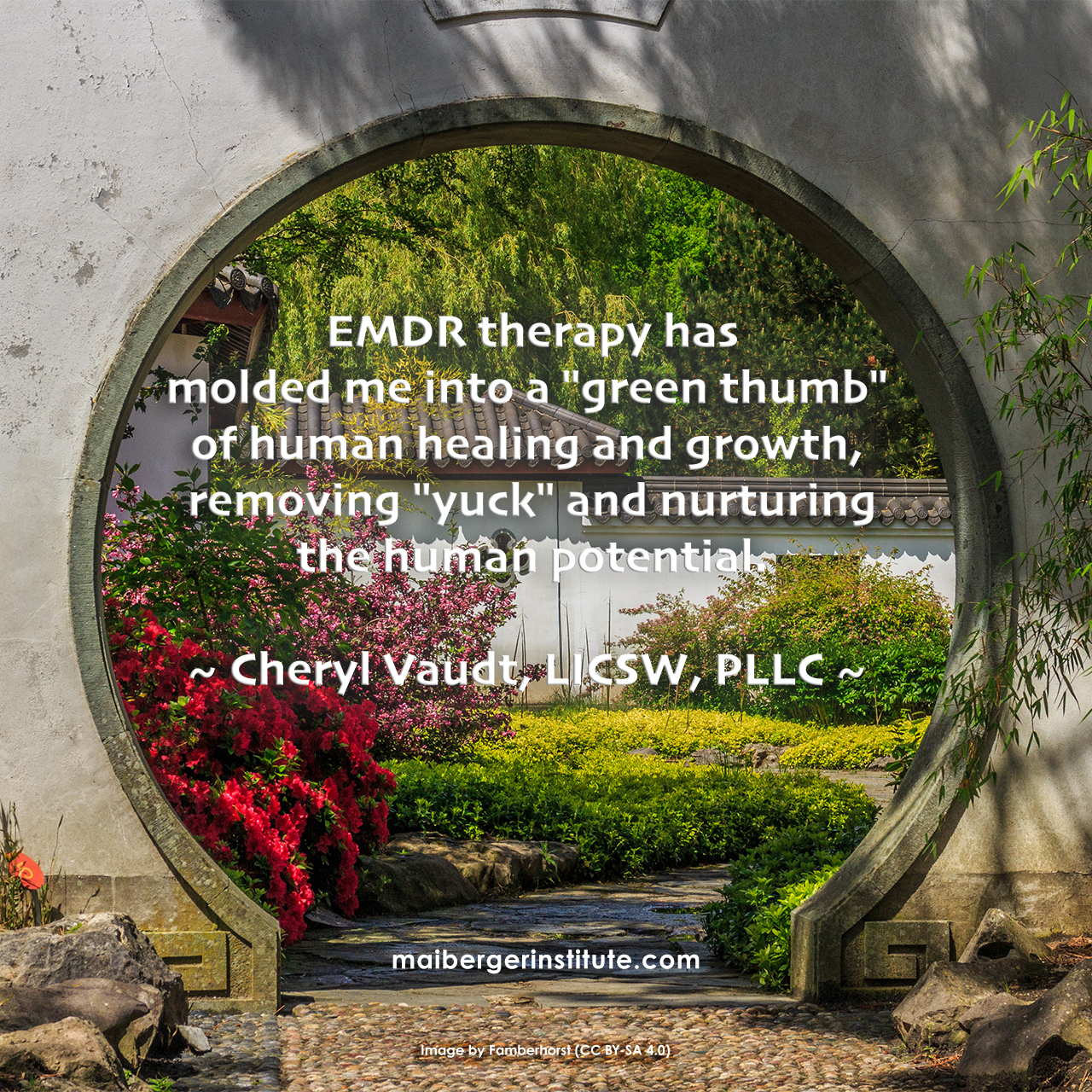 EMDR therapy has molded me into a "green thumb" of human healing and growth, removing "yuck" and nurturing the human potential. ~ Cheryl Vaudt, LICSW, PLLC