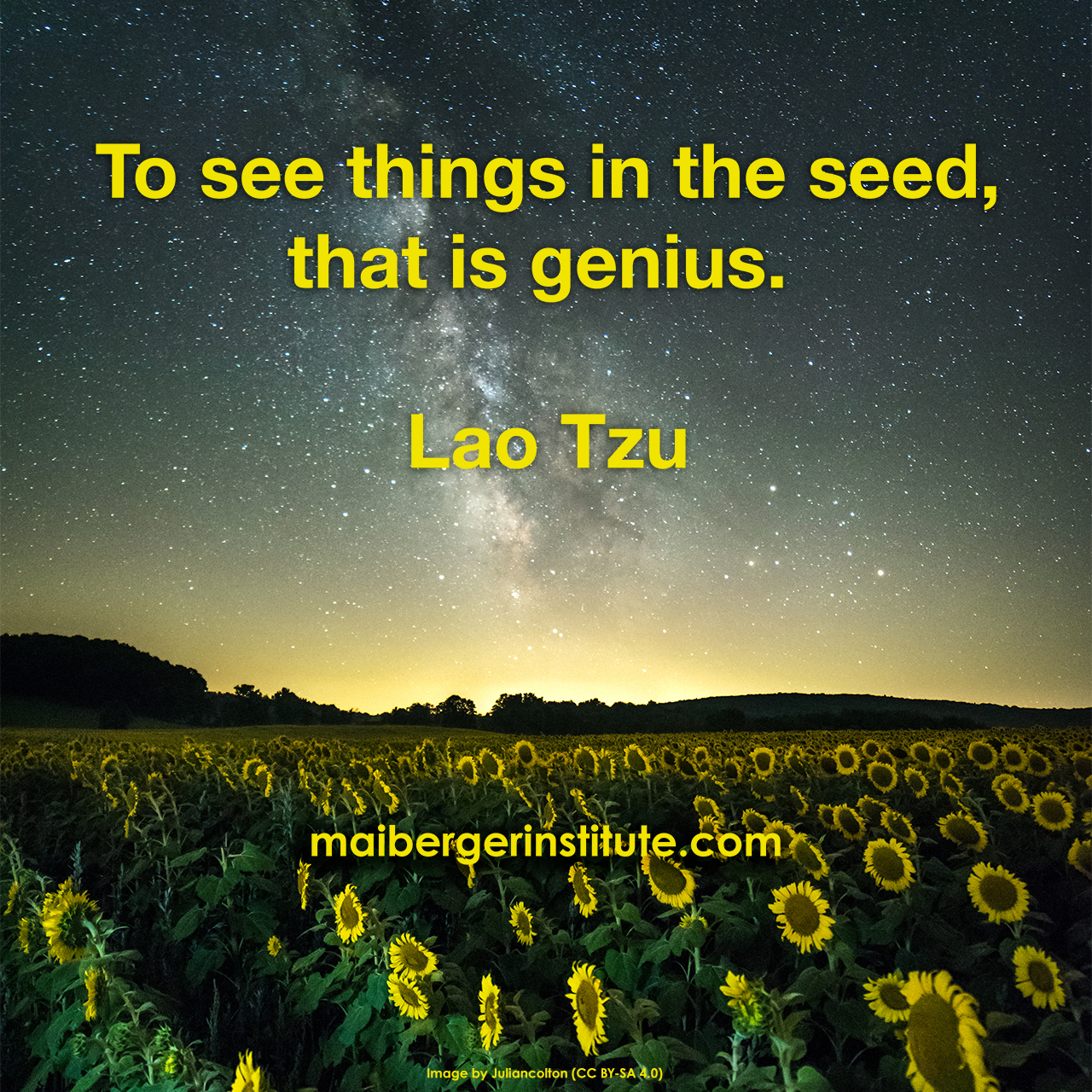 "To see things in the seed, that is genius" ~ Lao Tzu