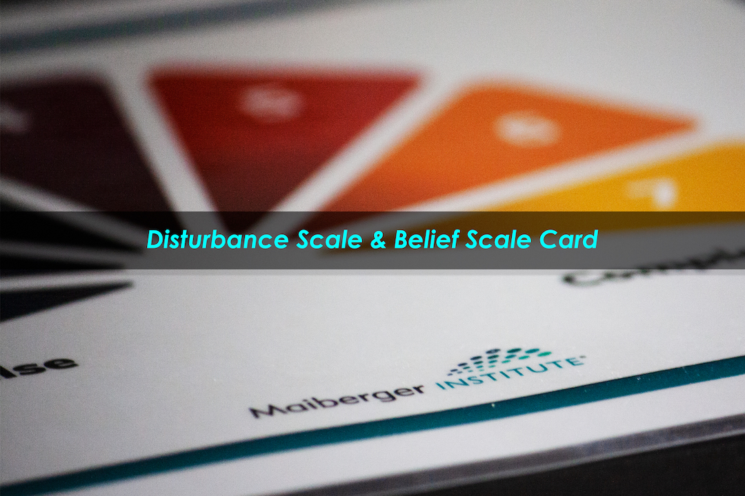 Disturbance Scale and Belief Scale Cards - Copyright 2020 Maiberger Institute